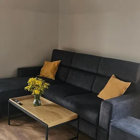 Arkady House Apartment Olsztynek